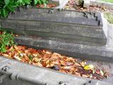 image of grave number 480610
